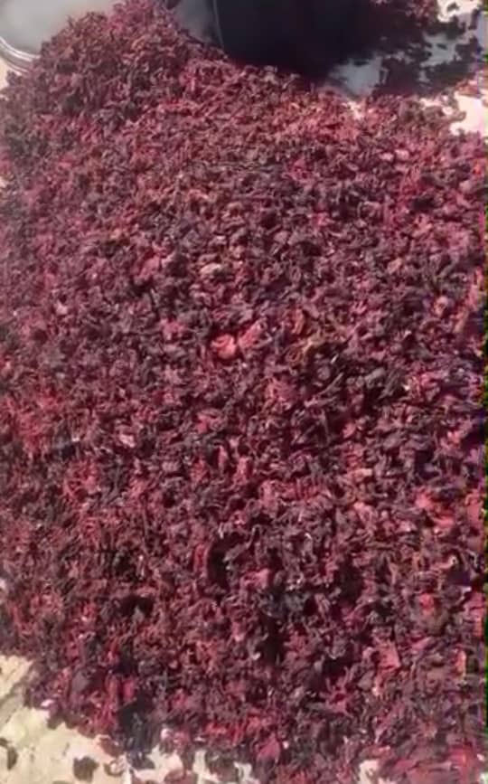 Dried hibiscus flowers bulk product
